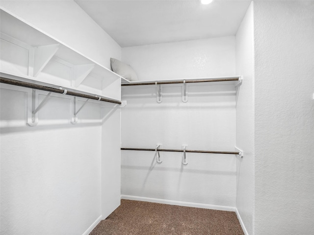 27014 Costa Creek Dr, Katy, TX 77493 - spacious closet featuring carpet floors