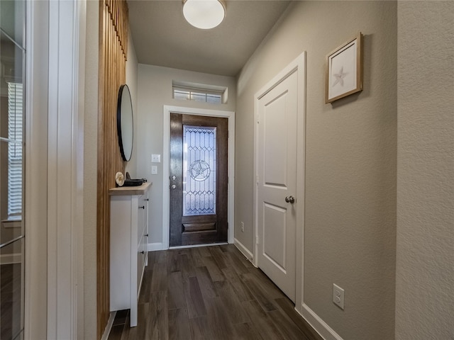 entryway featuring dark wood-type flooring