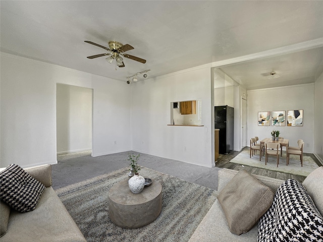 living room with ornamental molding, rail lighting, ceiling fan, and carpet