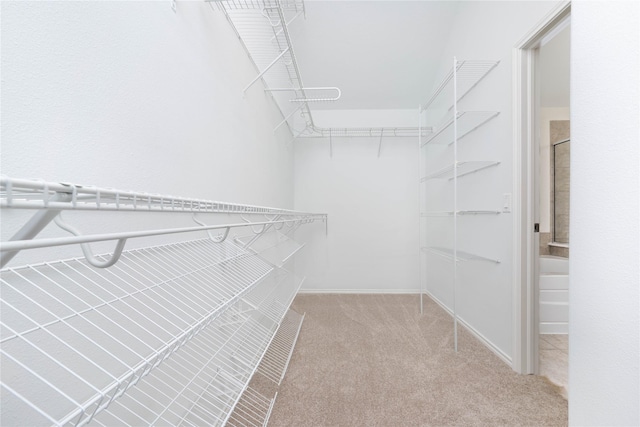 spacious closet featuring light colored carpet