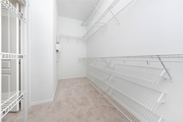 spacious closet featuring light carpet