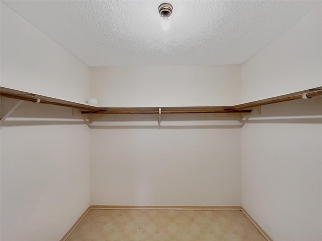 walk in closet with light colored carpet