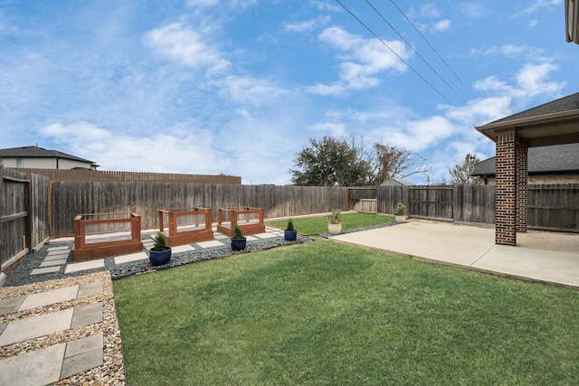 view of yard featuring a patio area