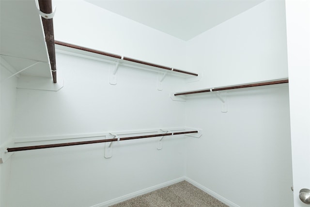 spacious closet featuring light carpet