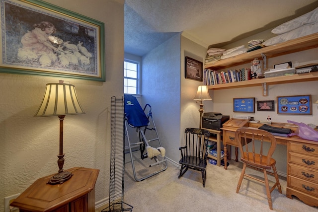 2106 Springwood, Brenham, TX 77833 - office area featuring carpet, a textured wall, baseboards, and a textured ceiling