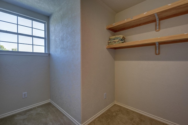 2106 Springwood, Brenham, TX 77833 - clothes washing area with carpet flooring, baseboards, and a textured wall
