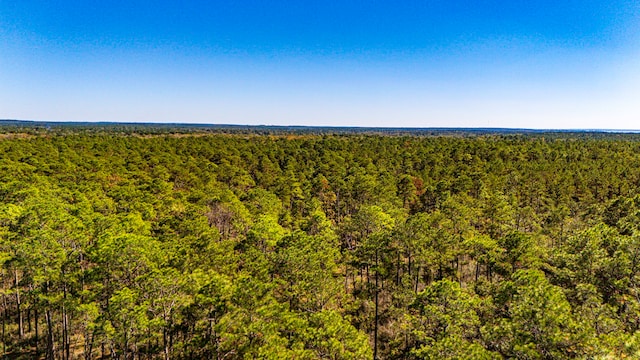 Listing photo 2 for 0314 Sportsman Retreat Rd, Onalaska TX 77360