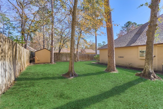 view of yard with a storage shed