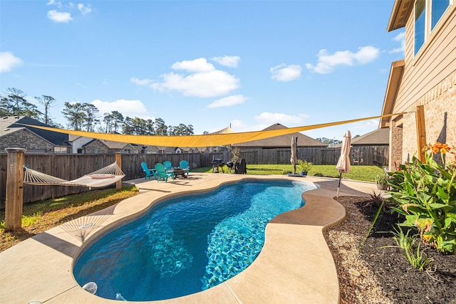 view of pool featuring a patio area