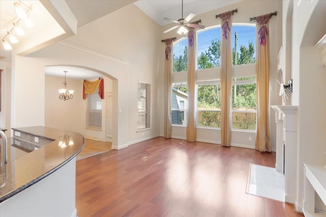 interior space featuring dark hardwood / wood-style flooring, ceiling fan with notable chandelier, and a high ceiling