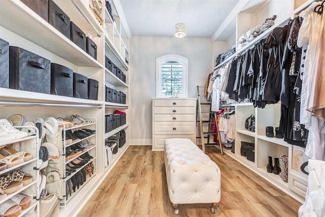 spacious closet featuring light wood-type flooring