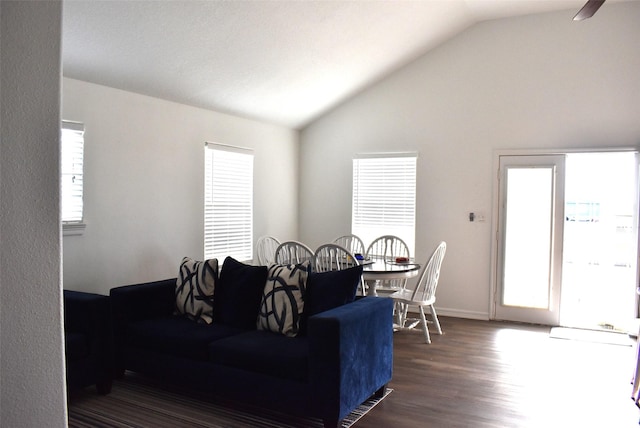 living room with lofted ceiling, dark hardwood / wood-style floors, and a wealth of natural light