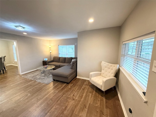 living room featuring hardwood / wood-style floors