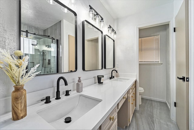 bathroom with vanity, walk in shower, and toilet