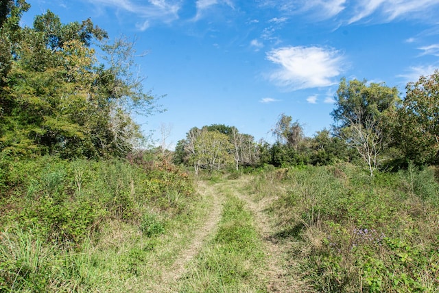 TBD Highway 36, Jones Creek, TX 77541 - photo 25