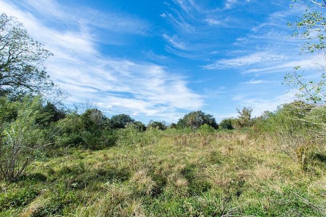 TBD Highway 36, Jones Creek, TX 77541 - photo 26