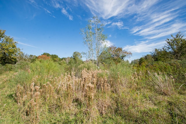 TBD Highway 36, Jones Creek, TX 77541 - photo 27
