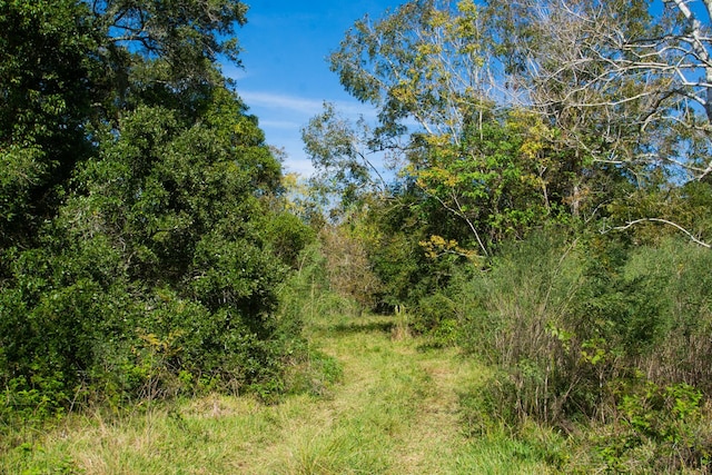 TBD Highway 36, Jones Creek, TX 77541 - photo 19