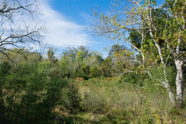 TBD Highway 36, Jones Creek, TX 77541 - photo 20