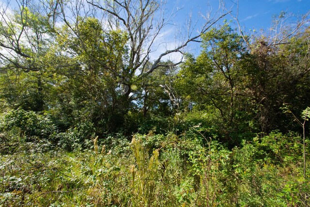 TBD Highway 36, Jones Creek, TX 77541 - photo 21