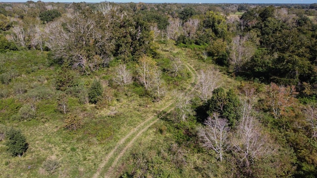 TBD Highway 36, Jones Creek, TX 77541 - photo 23