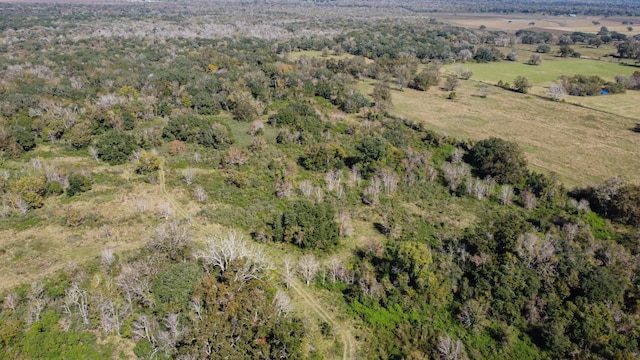 TBD Highway 36, Jones Creek, TX 77541 - photo 24