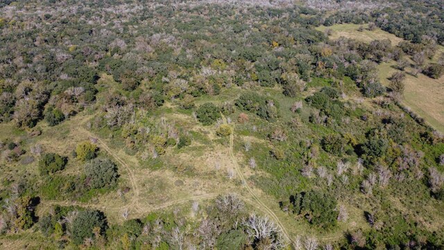 TBD Highway 36, Jones Creek, TX 77541 - photo 6