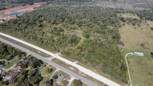 TBD Highway 36, Jones Creek, TX 77541 - photo 7