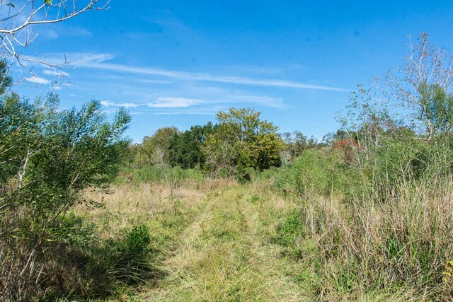 TBD Highway 36, Jones Creek, TX 77541 - photo 10