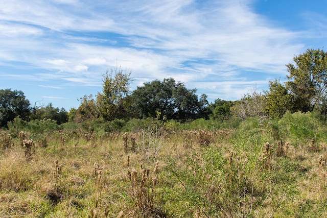 TBD Highway 36, Jones Creek, TX 77541 - photo 11
