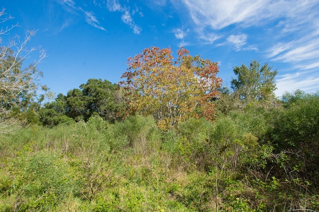 TBD Highway 36, Jones Creek, TX 77541 - photo 12