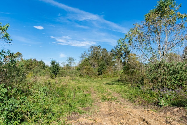 TBD Highway 36, Jones Creek, TX 77541 - photo 14