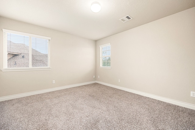 carpeted spare room with a healthy amount of sunlight