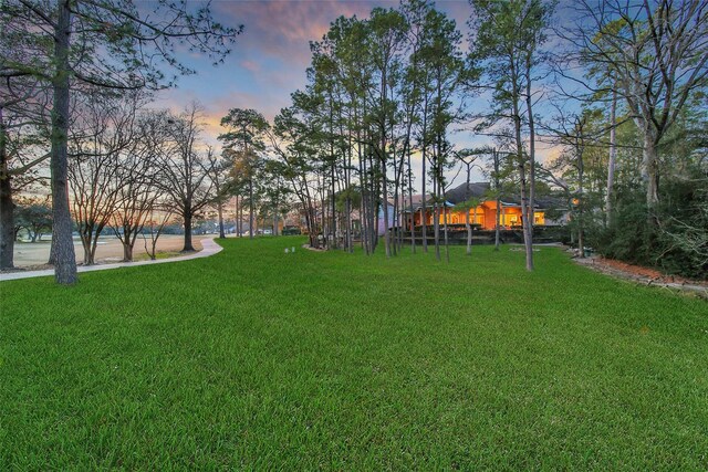 view of yard at dusk