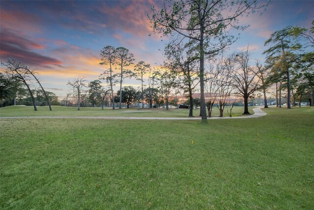 view of property's community featuring a lawn