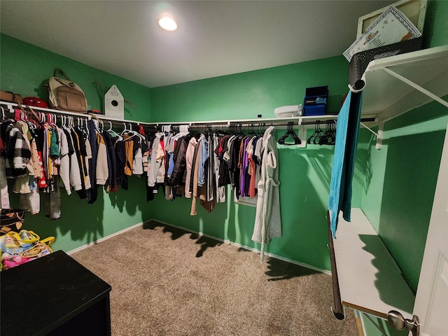 walk in closet with carpet flooring