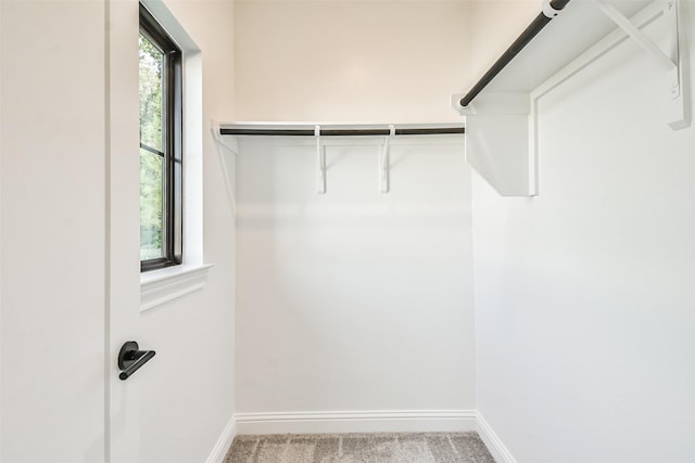 spacious closet with carpet floors