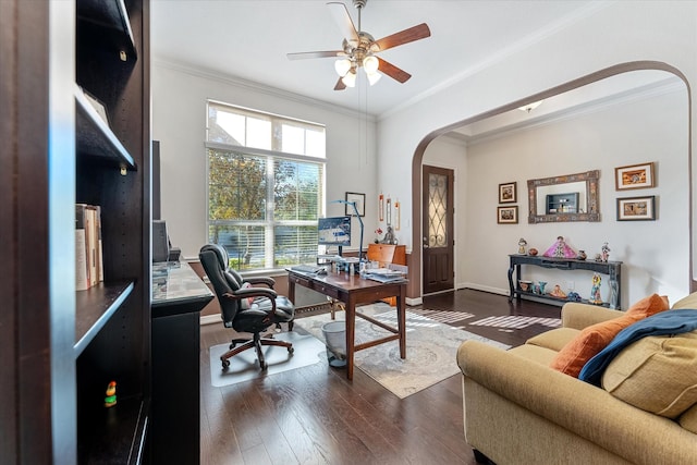 office space featuring dark wood-type flooring, ceiling fan, and ornamental molding