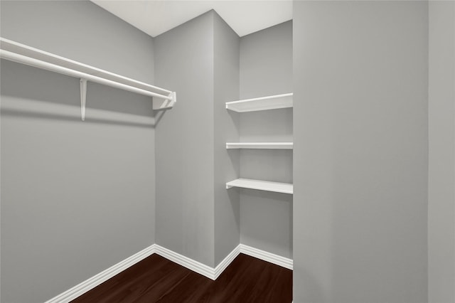 spacious closet featuring hardwood / wood-style flooring