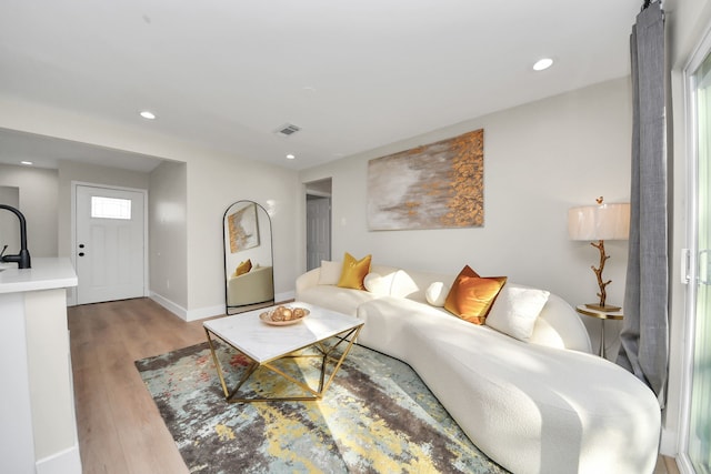 living room featuring light hardwood / wood-style flooring