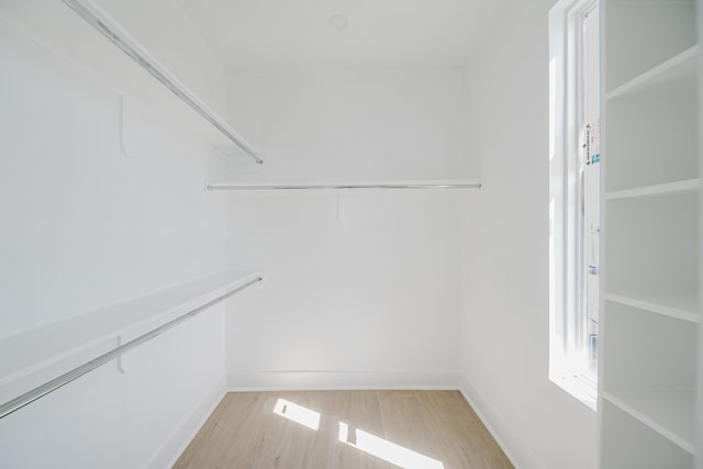 spacious closet featuring light wood finished floors