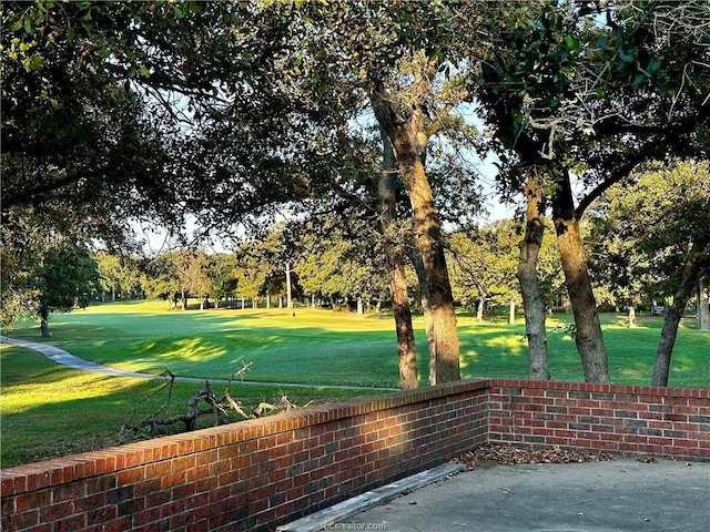 view of home's community with a yard