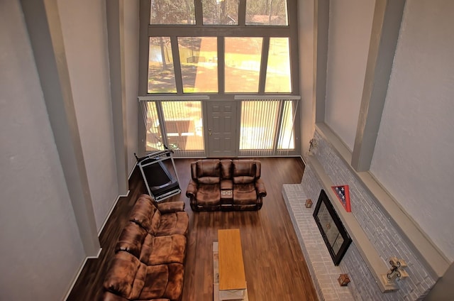 living room featuring wood-type flooring