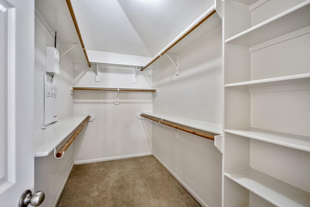 walk in closet featuring light colored carpet