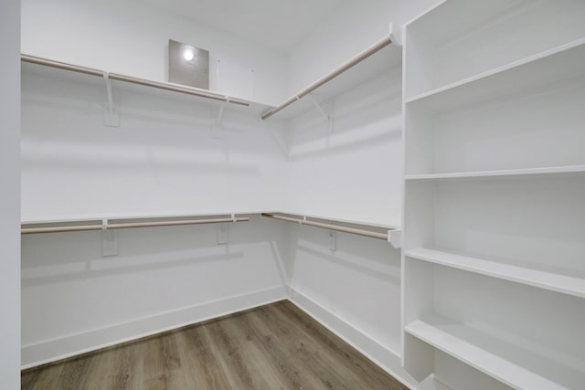 spacious closet with hardwood / wood-style flooring