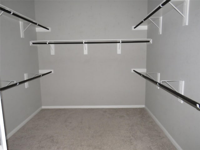 walk in closet featuring light carpet