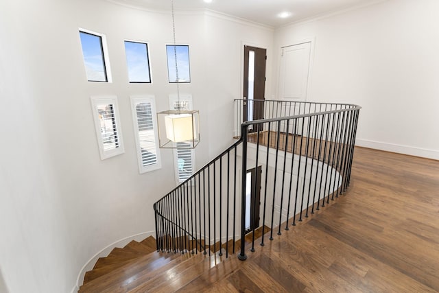 stairs featuring plenty of natural light, ornamental molding, a chandelier, and wood-type flooring