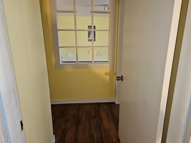 hallway featuring dark hardwood / wood-style flooring