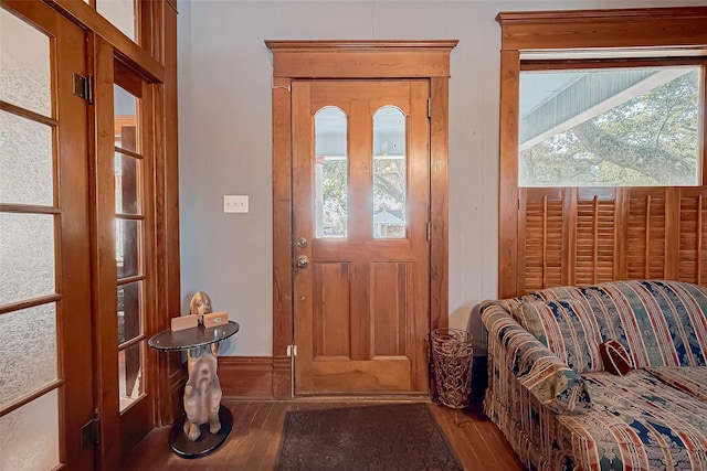 entrance foyer featuring hardwood / wood-style floors and a wealth of natural light