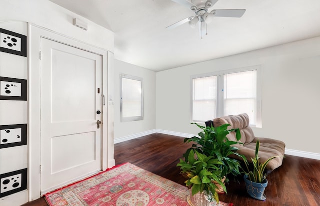 foyer entrance featuring dark wood-type flooring and ceiling fan